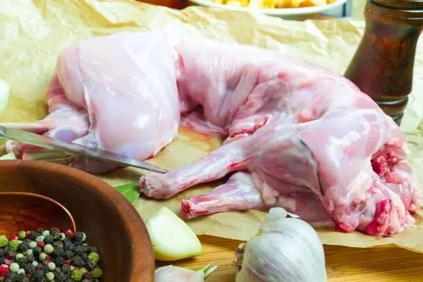 Lapin frais