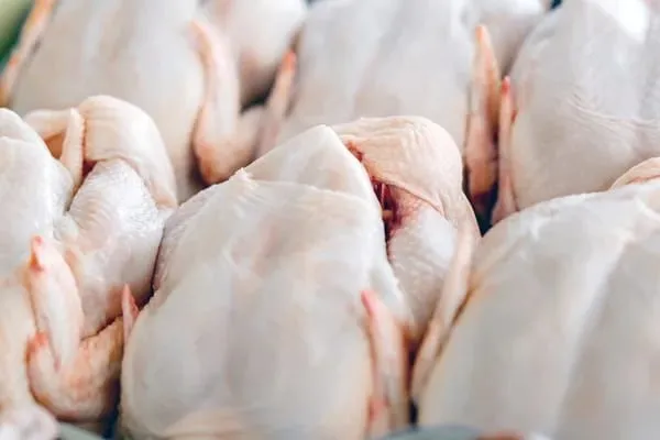 Poulets de chair
